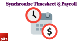 PITS Timesheet-Payroll Sync