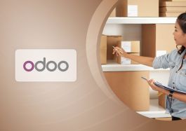 Odoo POS Inventory Report