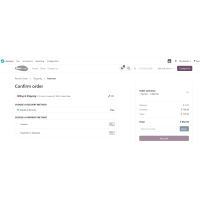Advanced Payment Control for Odoo