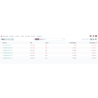 Import Zipped CAMT Bank Statement Odoo v17.0