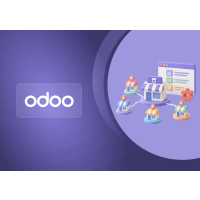 Franchise Management Plugin for Odoo