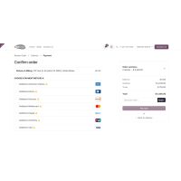 Datatrans Payment Provider for Odoo
