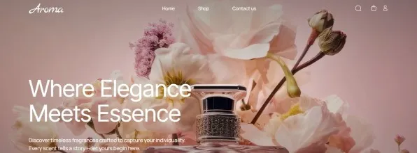 Theme Aroma for Odoo